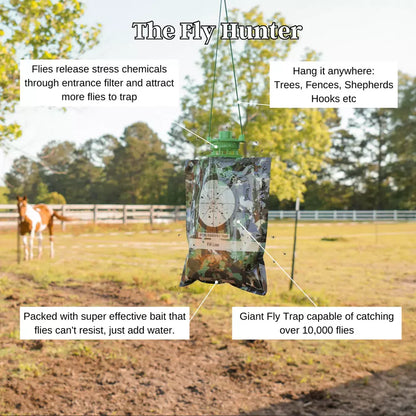 The Fly Hunter